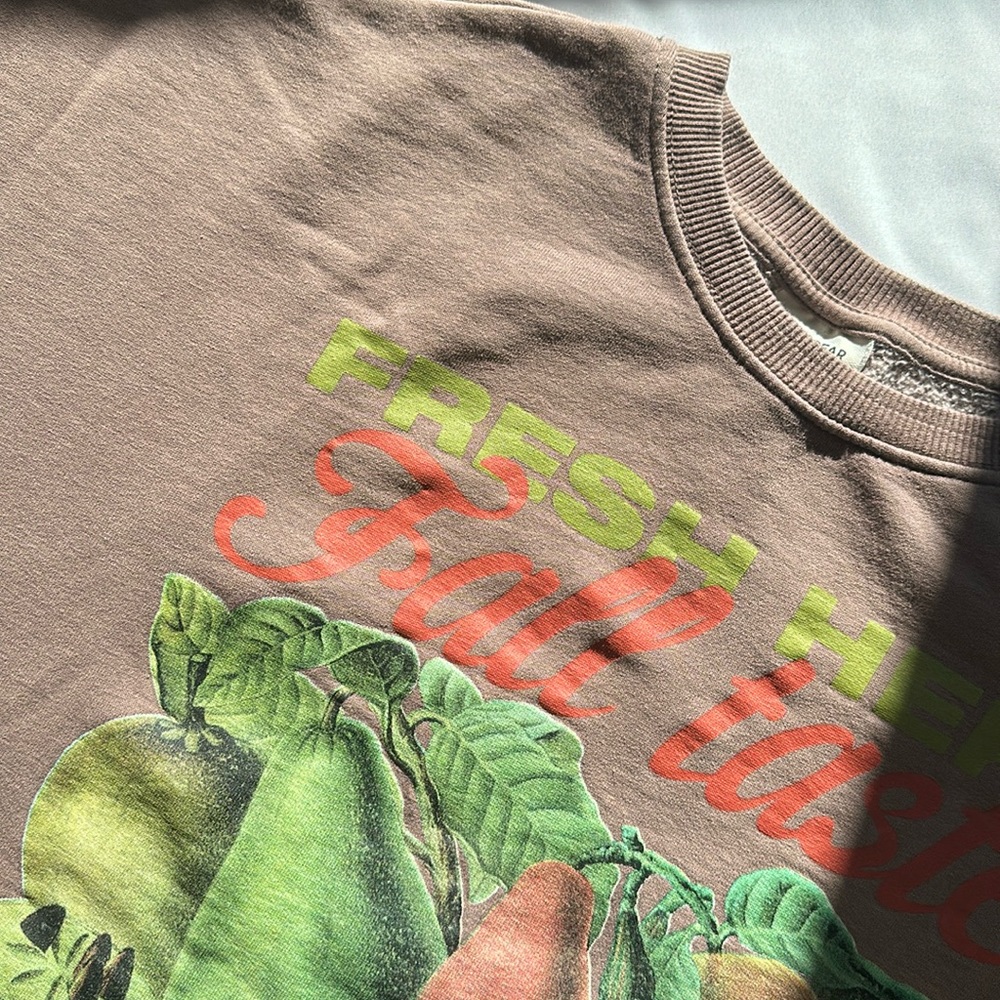 Pull&Bear Brown Fruit Graphic Sweater